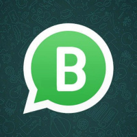 Whatsapp profesional