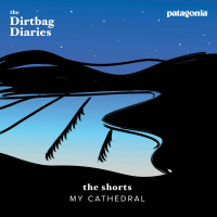 The Shorts-- My Cathedral