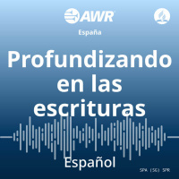 038 Estudiando la Biblia