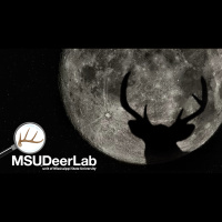 Episode 081 - Lunar Table Fables - Does the Moon Affect Buck Activiy?