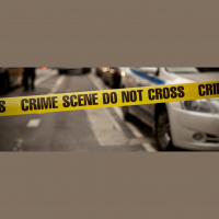 Gun Violence: Various Perspectives