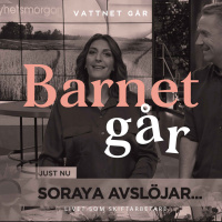 371. BG Soraya Lavasani Vi går om varandra helt