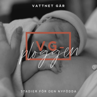 255. VG-ploggen - Den nyföddas första stadier