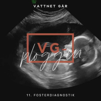 393. Plogg-repris, Det spännande ultraljudet