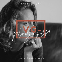 321. VG-ploggen Repris, Den ständiga oron