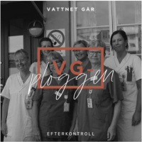 944. VG-ploggen - Den viktiga efterkontrollen