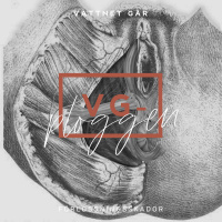 252. VG-Ploggen - Vad är en förlossningsskada?