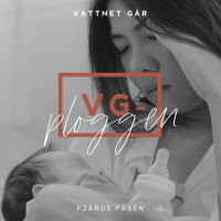 235. VG-Ploggen - Den bortglömda fjärde fasen