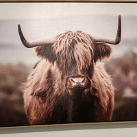 O2OUS23 - 21 Albuquerque PRESHOW