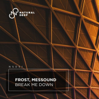 Frost  MesSounD - Break Me Down (Original Mix)