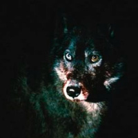 #345 Nueve reinas (2000) y El aura (2005), de Fabián Bielinsky