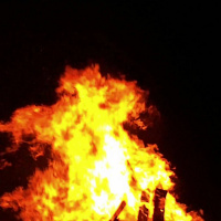 The Fire Afraid Of Being Burnt!
