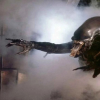 LA LLAVE AZUL 8X12|Alien, Bitelchus, Jim Henson, Carpenter, Schrader....