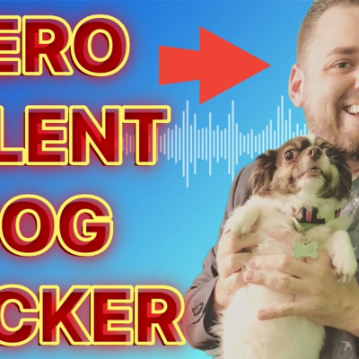 Sit Down Zumock! With Chad Zumock