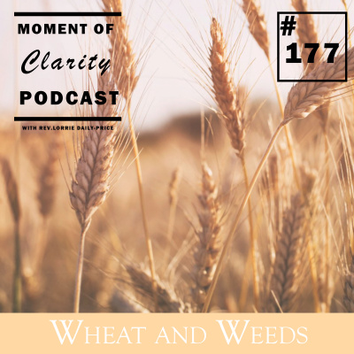 Moment Of Clarity With Rev. Lorrie Daly-price