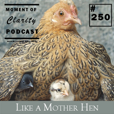 Moment Of Clarity With Rev. Lorrie Daly-price