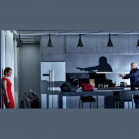 Unterhaltsam und berührend: Fräulein Julie am DT