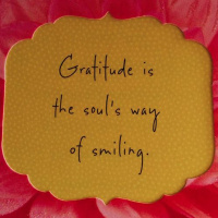 Ep 5: Attitude Gratitude