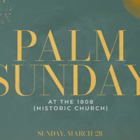 Jesus is King | Palm Sunday