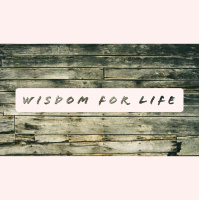 Living Well Through Suffering- Job