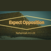 Expect Opposition