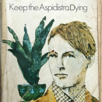 008: Keep the Aspidistra Dying: Im an Artist, Not a Creative Entrepreneur