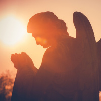 The Truth About Angels
