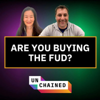 Crypto Sentiment Is Down Bad. But Is It Time to Go All In? - Ep. 784