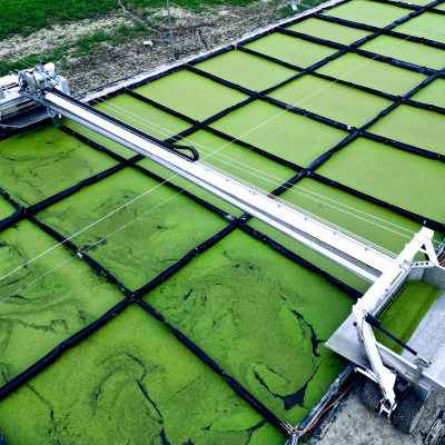Future Of Agriculture