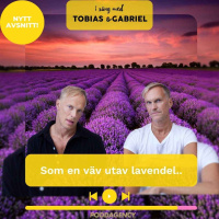 422. Som en väv utav lavendel..