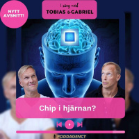 403. Chip i hjärnan?
