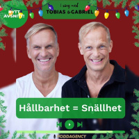 394. Hållbarhet = Snällhet