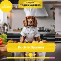 399. Kock-i-Spanien