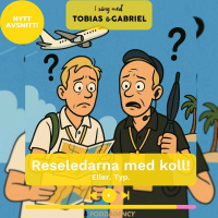 487. Reseledarna med koll! Eller. Typ.