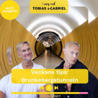 367. Veckans tips: Brunkebergstunneln