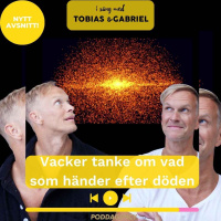 457. Vacker tanke om vad som händer efter döden