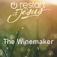 The Winemaker