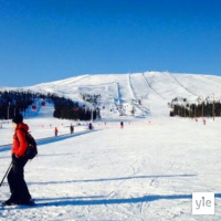 Radio Suomesta poimittuja: Rinteessä suksien suosio kasvanut lautabuumin jälkeen