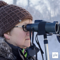 Radio Suomesta poimittuja: Palkaksi saatu kiikari teki Päivi Nousiaisesta lintunaisen