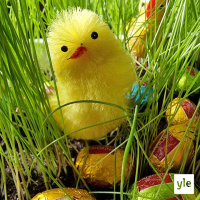 Pääsiäiserikoinen