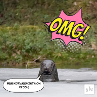 Järvilohen hintalappu