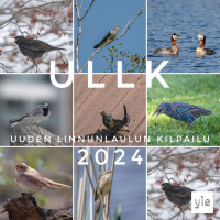 Uuden linnunlaulun kilpailu = ULLK on täällä!