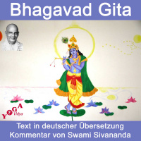 Bhagavad Gita Kapitel 13 Vers 27 - Ein Befreiter sieht das Göttliche in Allem