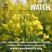 The past, present and future of canola