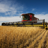 Pt.2Seed Principle - 100fold Principle.MP3