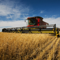 Faithful  Blessed Pt.2.MP3