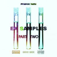 Pandamonium UK - ExSamples Mini Mix Part 2