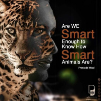 بودكاست ساندوتش ورقي: ذكاء مختلف