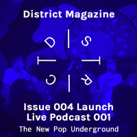 The New Pop Underground - In Conversation