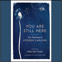 210 - Book Review: Kyogen Carlson’s “You Are Still Here”